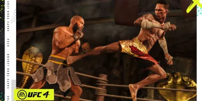 UFC 4