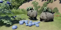 4 WombatBerries
