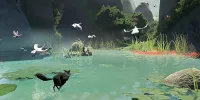 6 RunningwithDucks