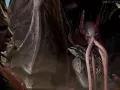 Cinematic   MF closeup