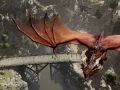 Exploration   Dragon Overhead