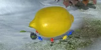 NSwitch Pikmin3Deluxe 05