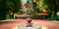 Sackboy 07