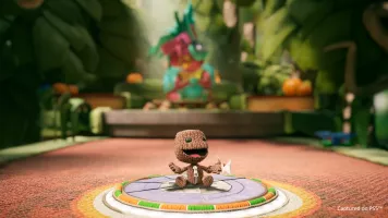 Sackboy 07