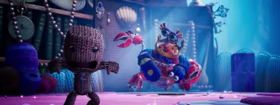 Sackboy 17