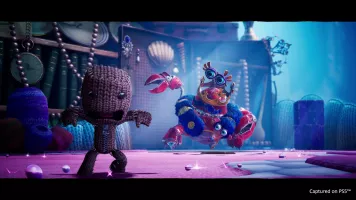 Sackboy 17