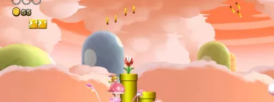 New Super Mario Bros U Deluxe 10