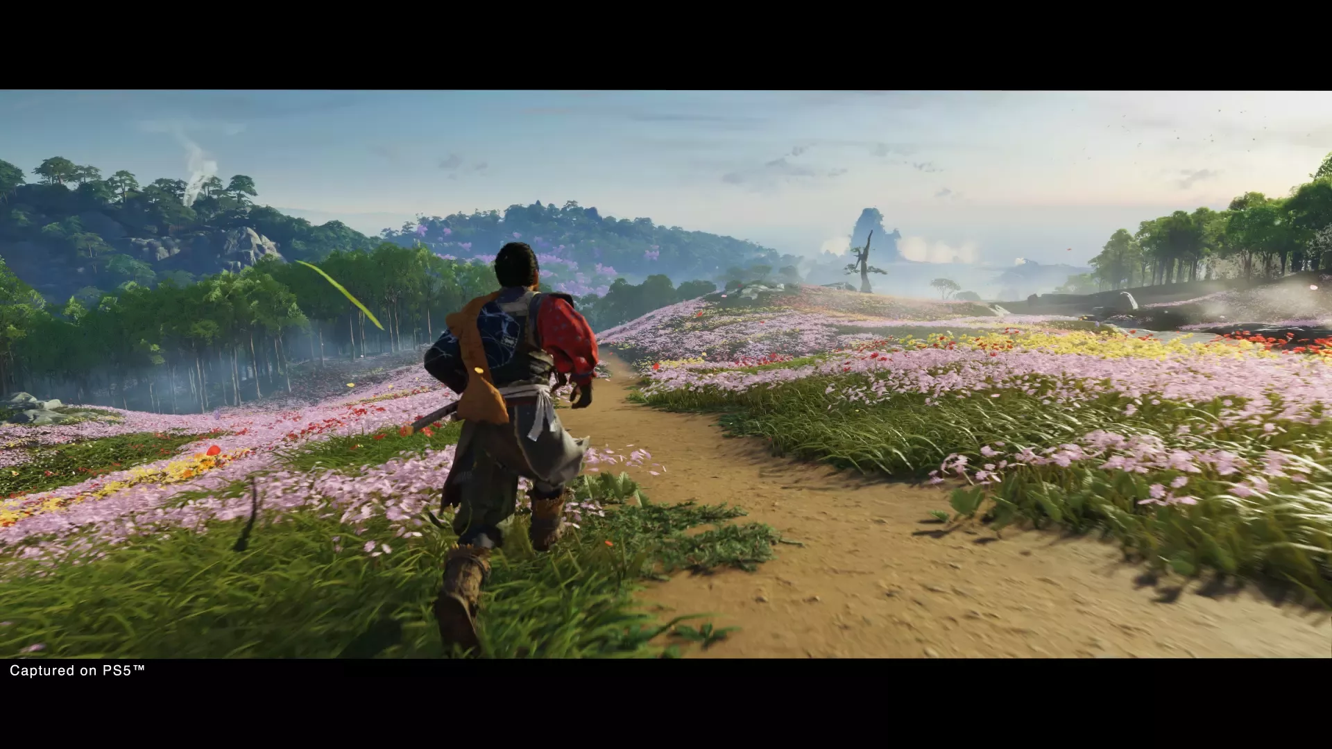 Ghost Of Tsushima DC 10