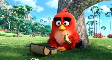 angry birds 01