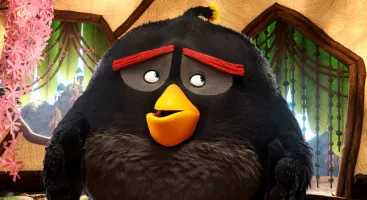 angry birds 06