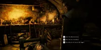 the inquisitor