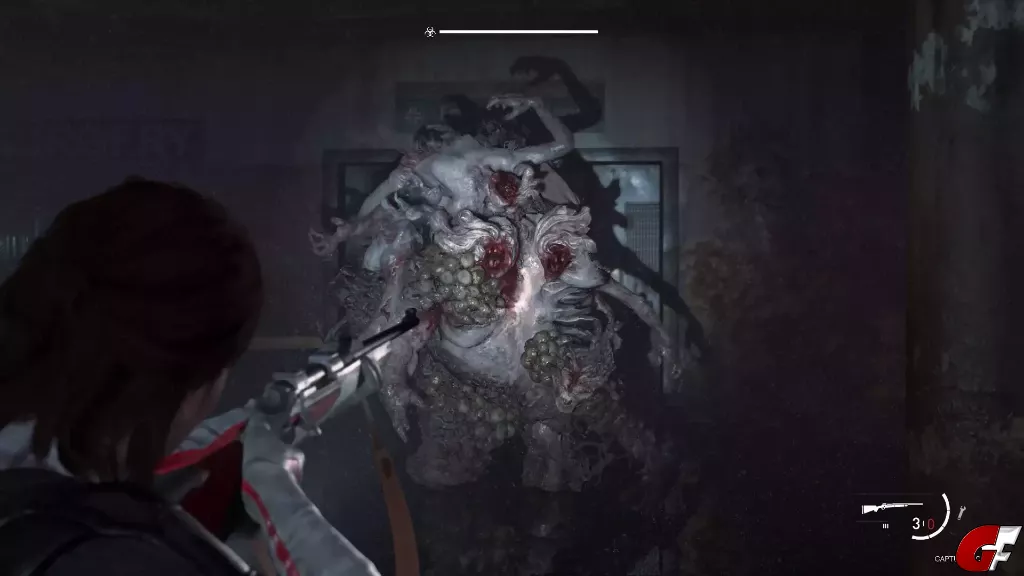 the last of us part ii remastered  the last of us part ii remastered